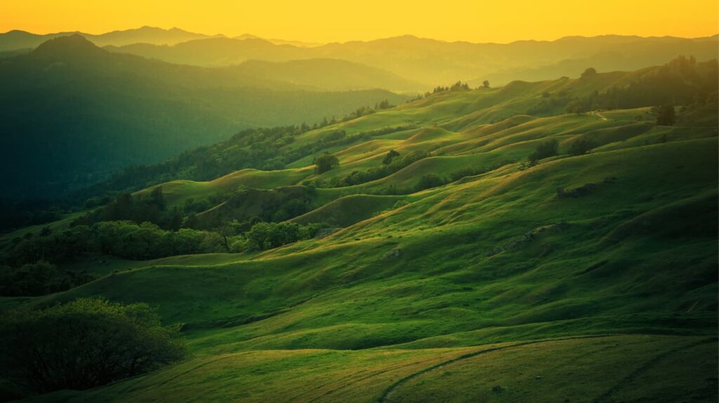 Rolling green hills covered in Oak trees in Petaluma, CA.